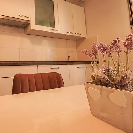 Tranquil Urban Escape Appartement Split