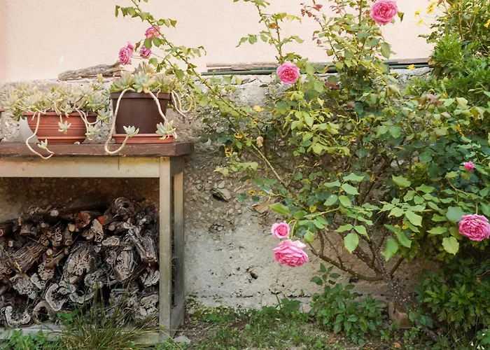 Tranquil Urban Escape Appartamento Spalato