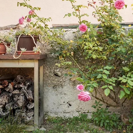 Tranquil Urban Escape Apartamento Split